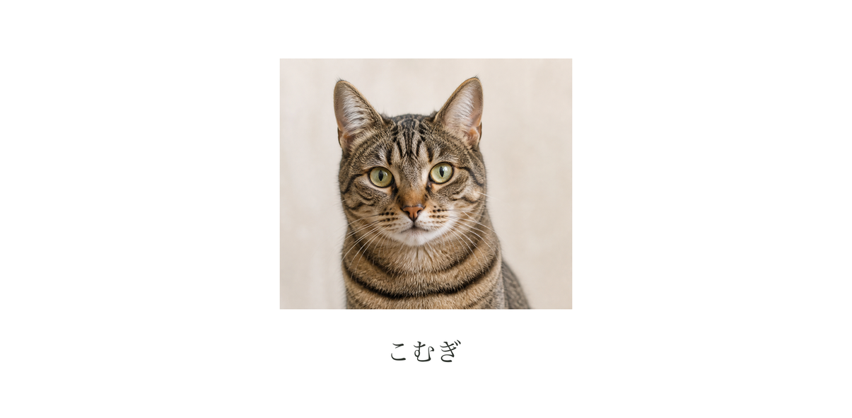 同じ猫の写真とテスト名「こむぎ」を配置した、印刷前の平面確認画像
